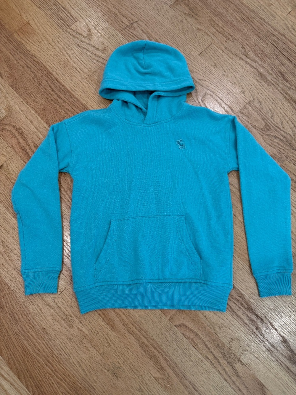 Abercrombie Kids Hoodie Sweatshirt Size 9/10 Teal Aqua